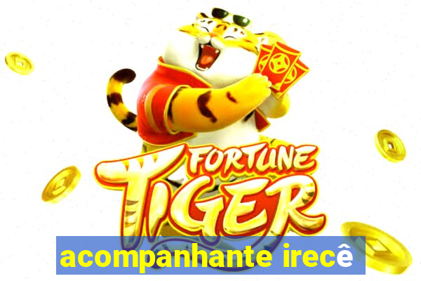 acompanhante irecê